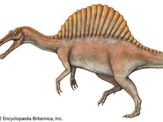 Picture of Spinosaurus