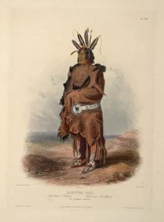 Picture of Arikara