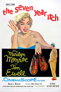 Picture of The Seven Year Itch