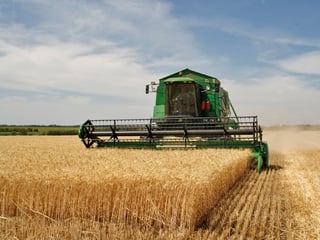 Picture of Harvest