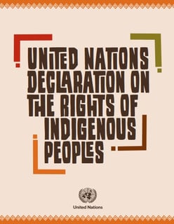 Picture of Declaration on the Rights of Indigenous Peoples