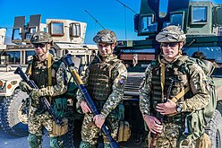 Picture of Ukrainian Air Assault Forces