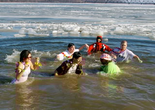 Picture of Polar bear plunge