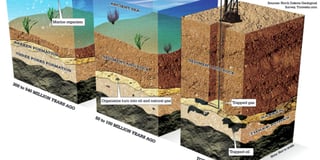 Picture of Bakken Formation