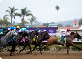 Picture of Breeders' Cup Juvenile