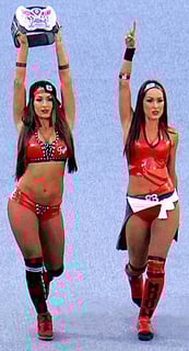 Picture of The Bella Twins
