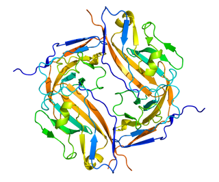 Picture of CD47