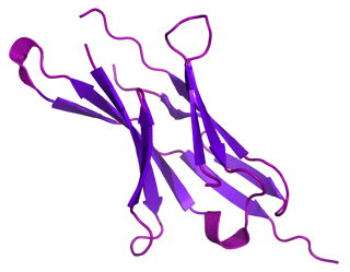 Picture of Programmed cell death protein 1