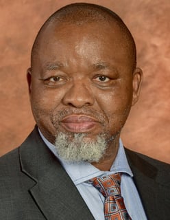 Picture of Gwede Mantashe