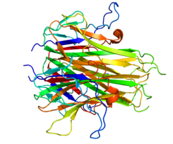 Picture of Vascular endothelial growth inhibitor