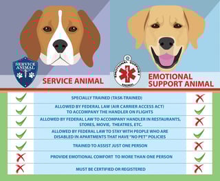 Picture of Emotional support animal