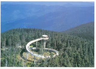 Picture of Clingmans Dome