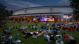 Picture of Tanglewood
