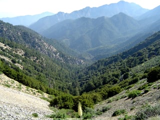 Picture of Angeles National Forest