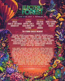 Picture of Electric Forest