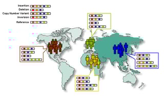 Picture of 1000 Genomes Project