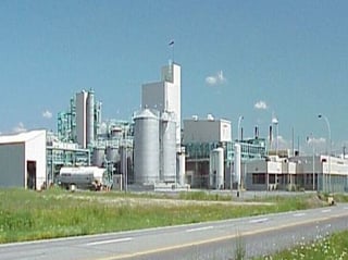 Picture of Arkema