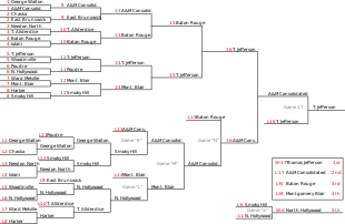 Picture of Double-elimination tournament