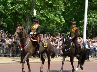Picture of King's Troop, Royal Horse Artillery