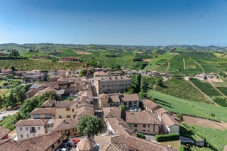 Picture of Alba