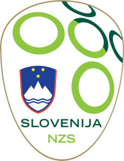 Picture of Slovenia national football team