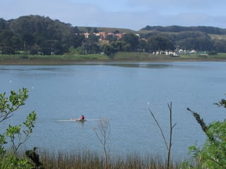 Picture of Lake Merced