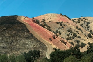 Picture of Firebreak