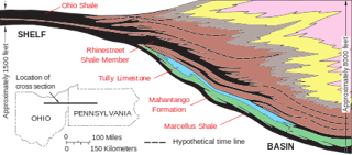 Picture of Marcellus Formation