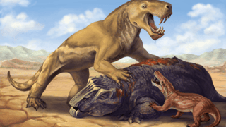 Picture of Saber-toothed predator