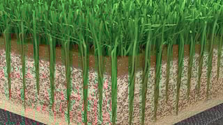 Picture of FieldTurf