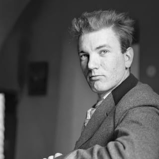 Picture of Thomas Bernhard
