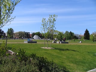 Picture of Cal Anderson Park