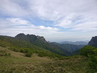 Picture of Qinling