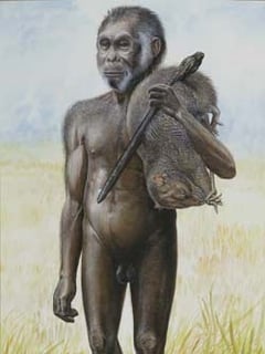 Picture of Flores man