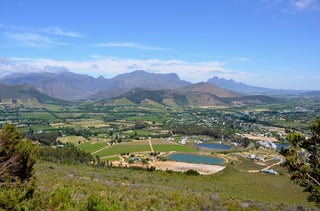 Picture of Franschhoek