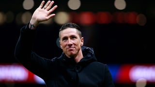 Picture of Fernando Torres