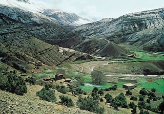Picture of Rif
