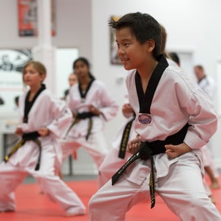 Picture of Karate