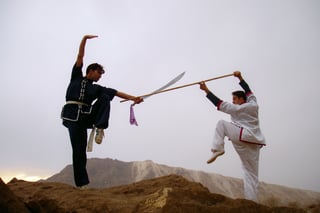 Picture of Kung fu