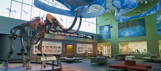 Picture of Florida Museum of Natural History