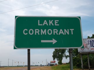 Picture of Lake Cormorant