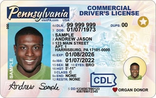 Picture of Commercial driver's license
