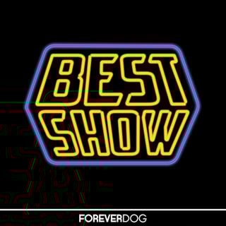 Picture of The Best Show with Tom Scharpling