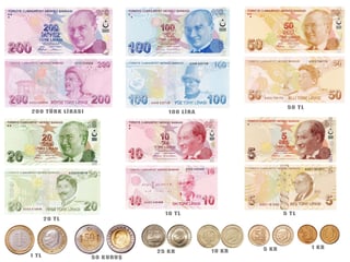Picture of Turkish lira