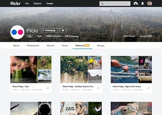 Picture of Flickr