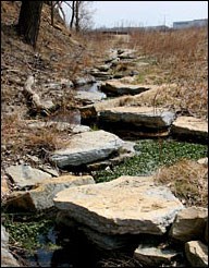 Picture of Bruce Vento Nature Sanctuary