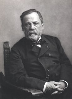 Picture of Louis Pasteur