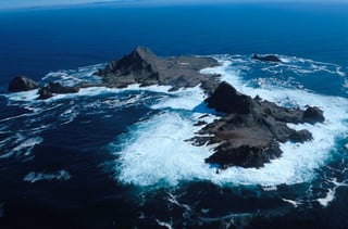 Picture of Farallon Islands