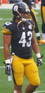 Picture of Troy Polamalu