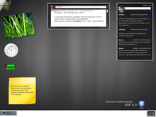 Picture of Software widget